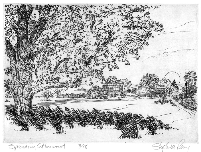 SpreadingCottonwood-Lg